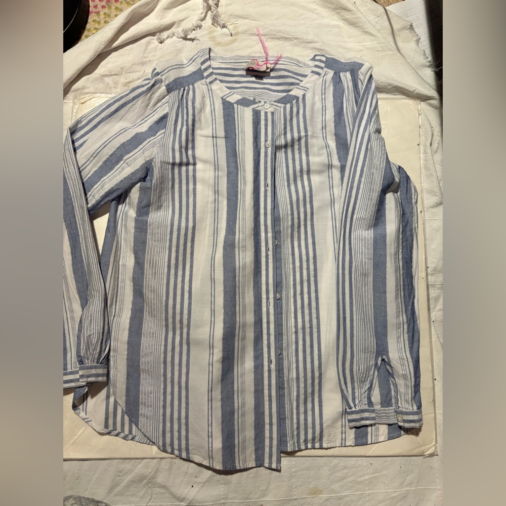 Ann Taylor loft Striped Blue and White Button-Up Shirt